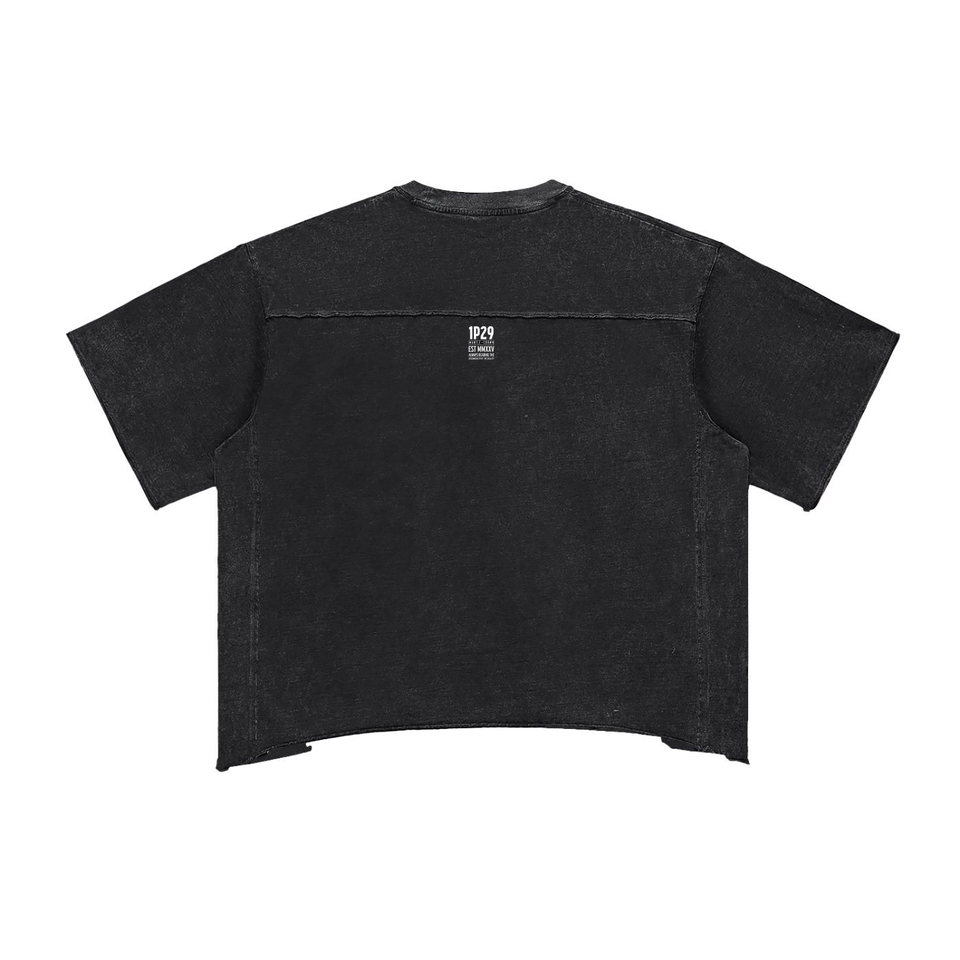 tshirts,oversized